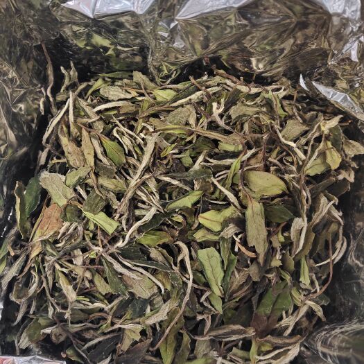 福鼎市白牡丹茶 2021年白茶牡丹