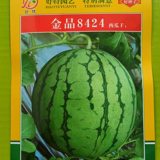 湘乡市早佳8424西瓜种子 84-24西瓜种子 早熟抗逆性强，易坐