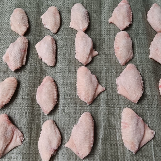 郑州鸡翅 纯干翅中30/40   40/50