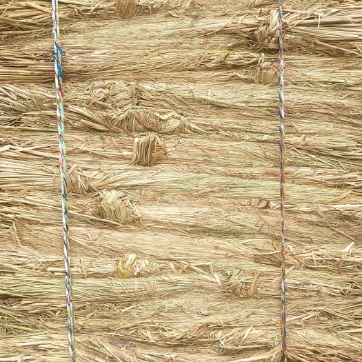 海安市 供应长度75至90公分整秆稻草，可用酒厂草、治沙草、草帘草等