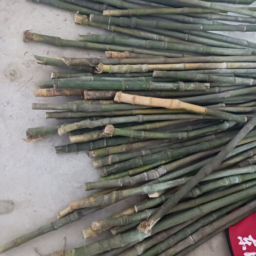 阜阳西玉竹 实心玉竹