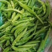青州市尖椒 辣椒系列大量有货