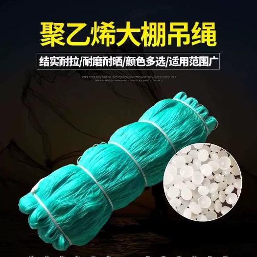 无棣县农用防老化吊蔓绳吊秧绳大棚用塑料绳子黄瓜西红柿绑蔓蔬菜吊绳