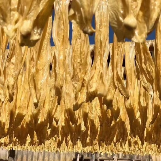和平县和平县客家黄豆腐竹 纯手工天然原色无色素 豆味浓