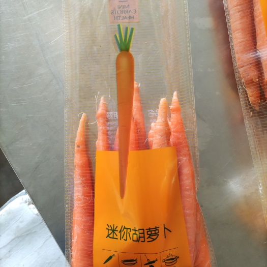 手指胡萝卜 山东省济南市平阴县