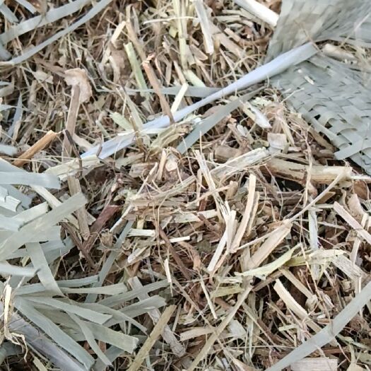 遂平县优品花生秧