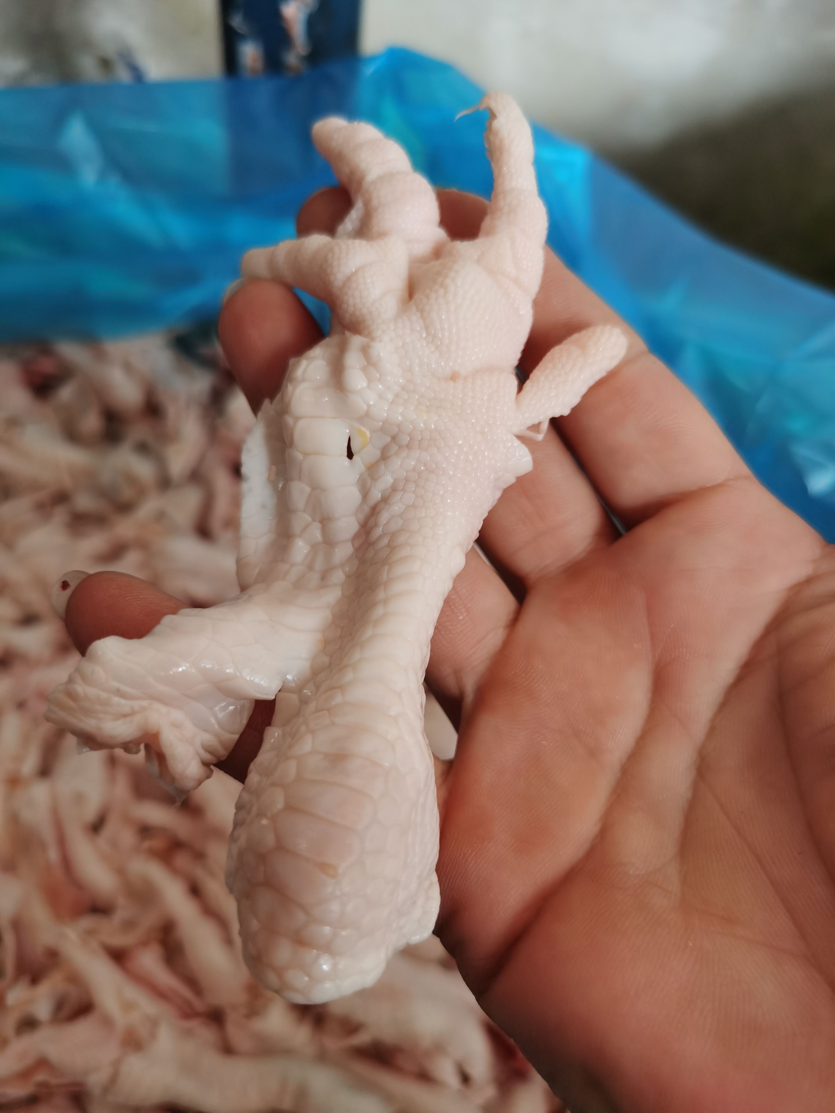 山东厂家直销纯干脱骨鸡爪脱骨鸡掌及脱骨鸭爪脱骨鸭掌支持代发