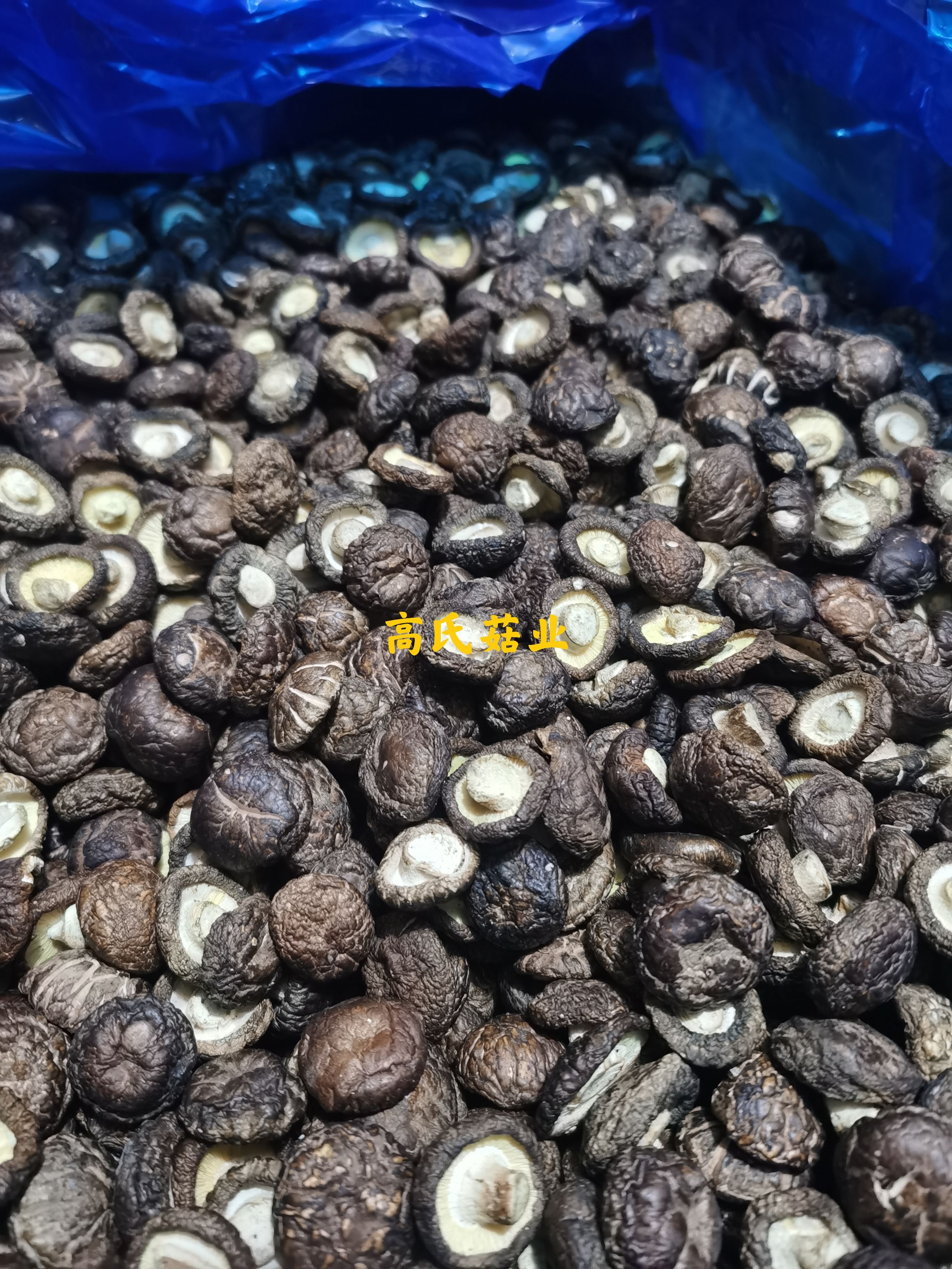 东北香菇批发 产地直销 一手货源产地直发餐饮专用