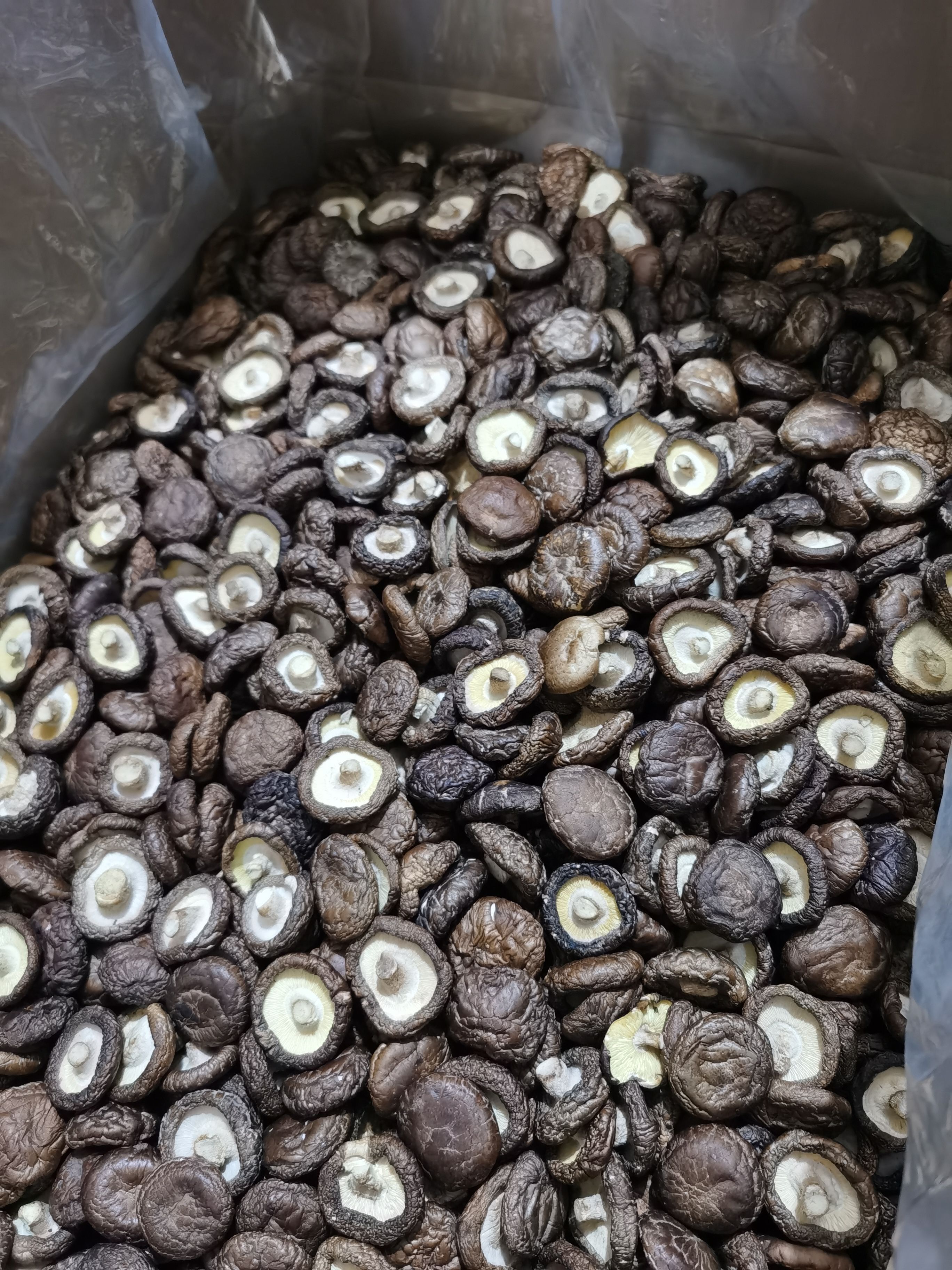 东北香菇批发 产地直销 一手货源产地直发餐饮专用