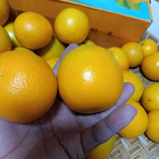 廉江市 吃的是红橙也是维C