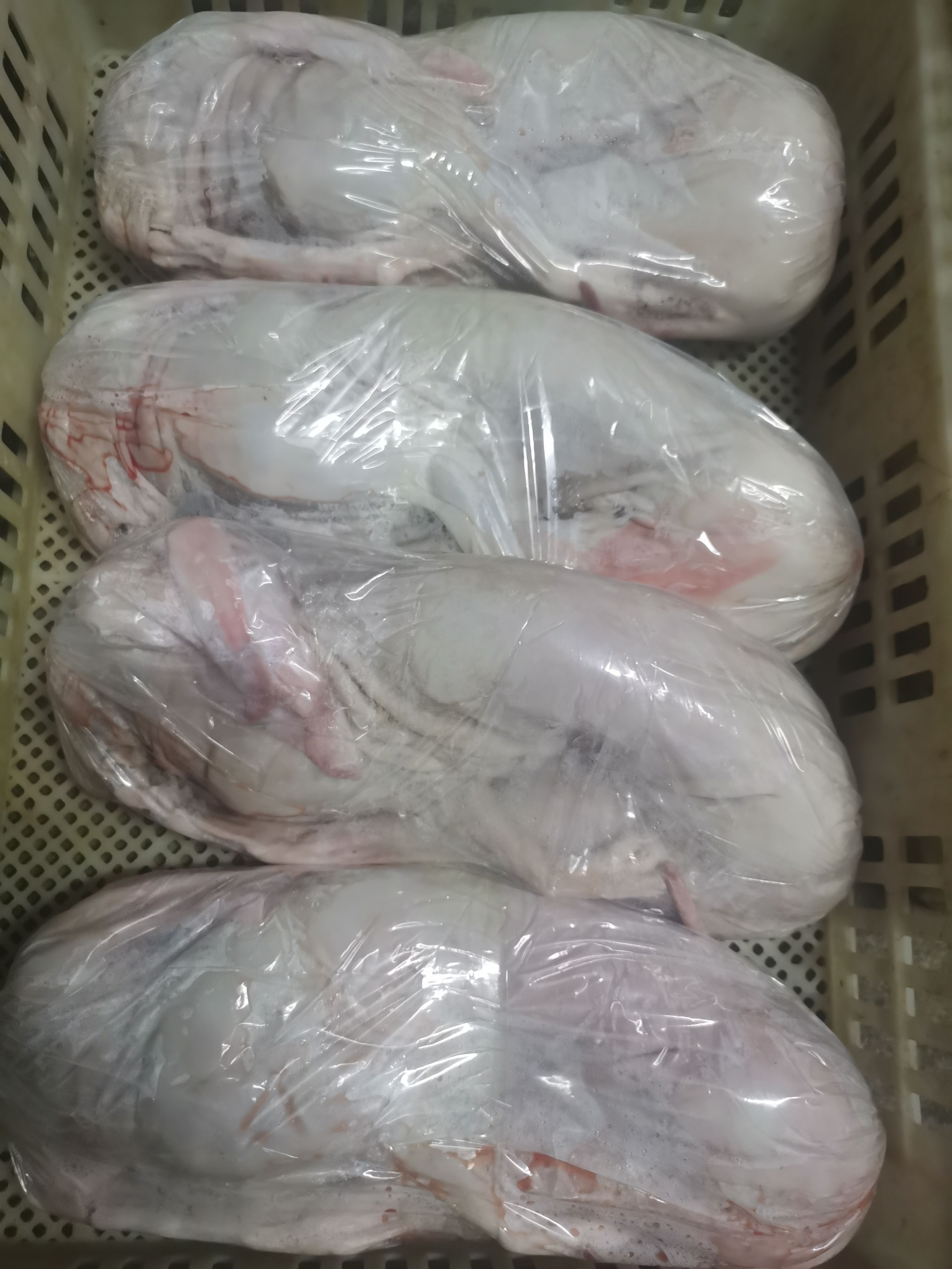 兔肉类 春堂兔毛有限公司常年供应现杀放血生鲜冷冻的带皮（去皮