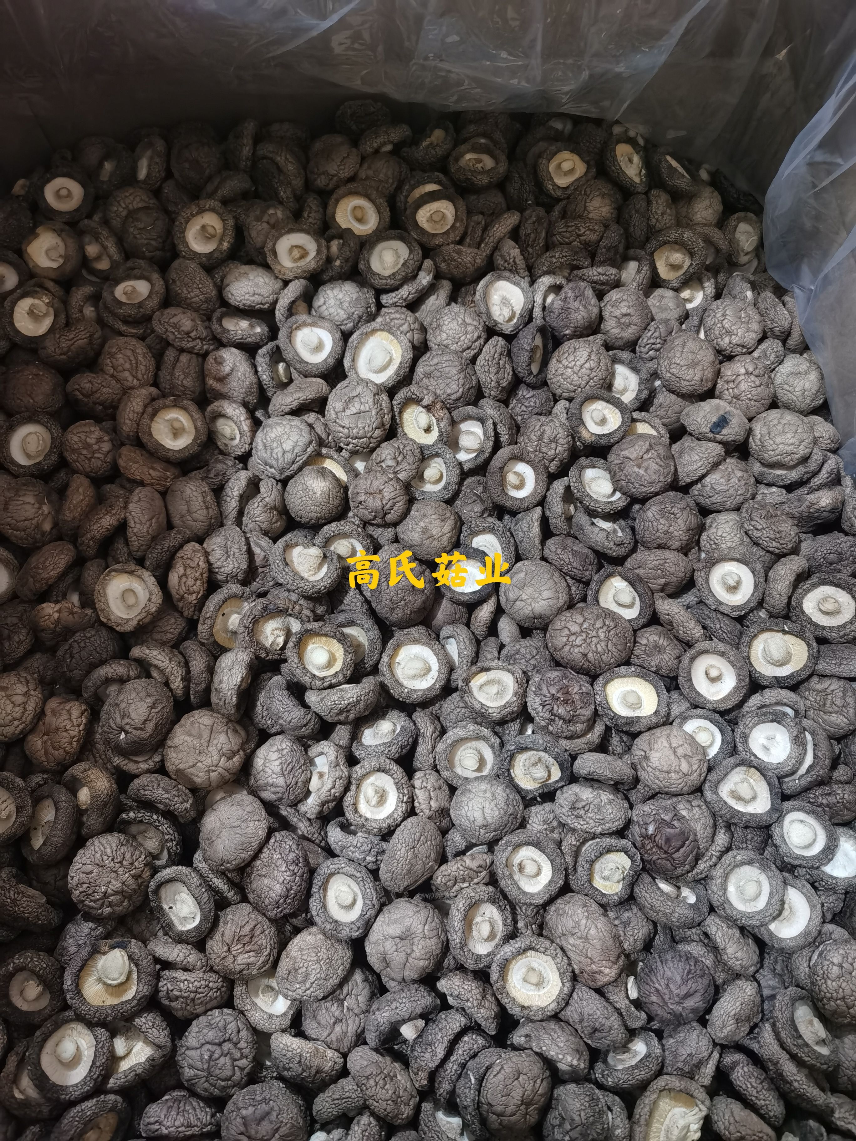 东北香菇批发 产地直销 一手货源产地直发餐饮专用