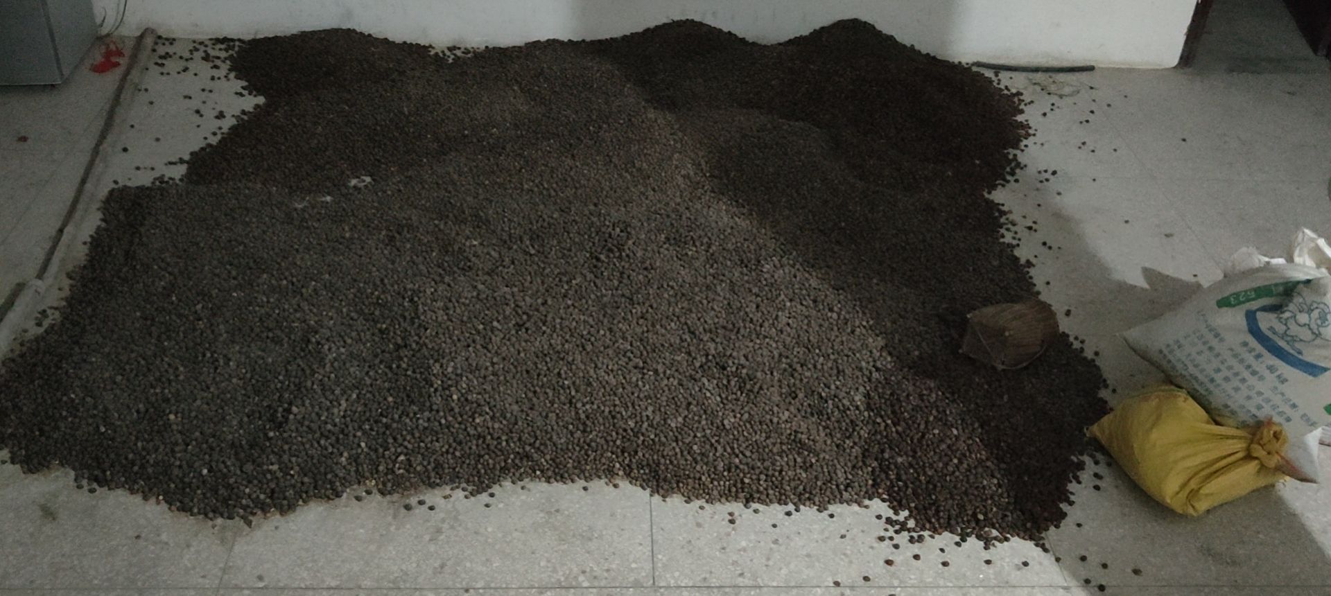 茶叶籽 茶籽 油茶干籽，‘茶籽 油茶干籽，‘高山茶籽