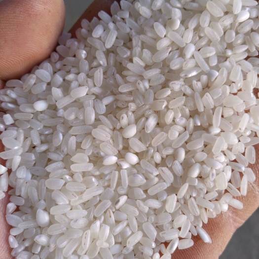 庐江县粳米 食堂用米