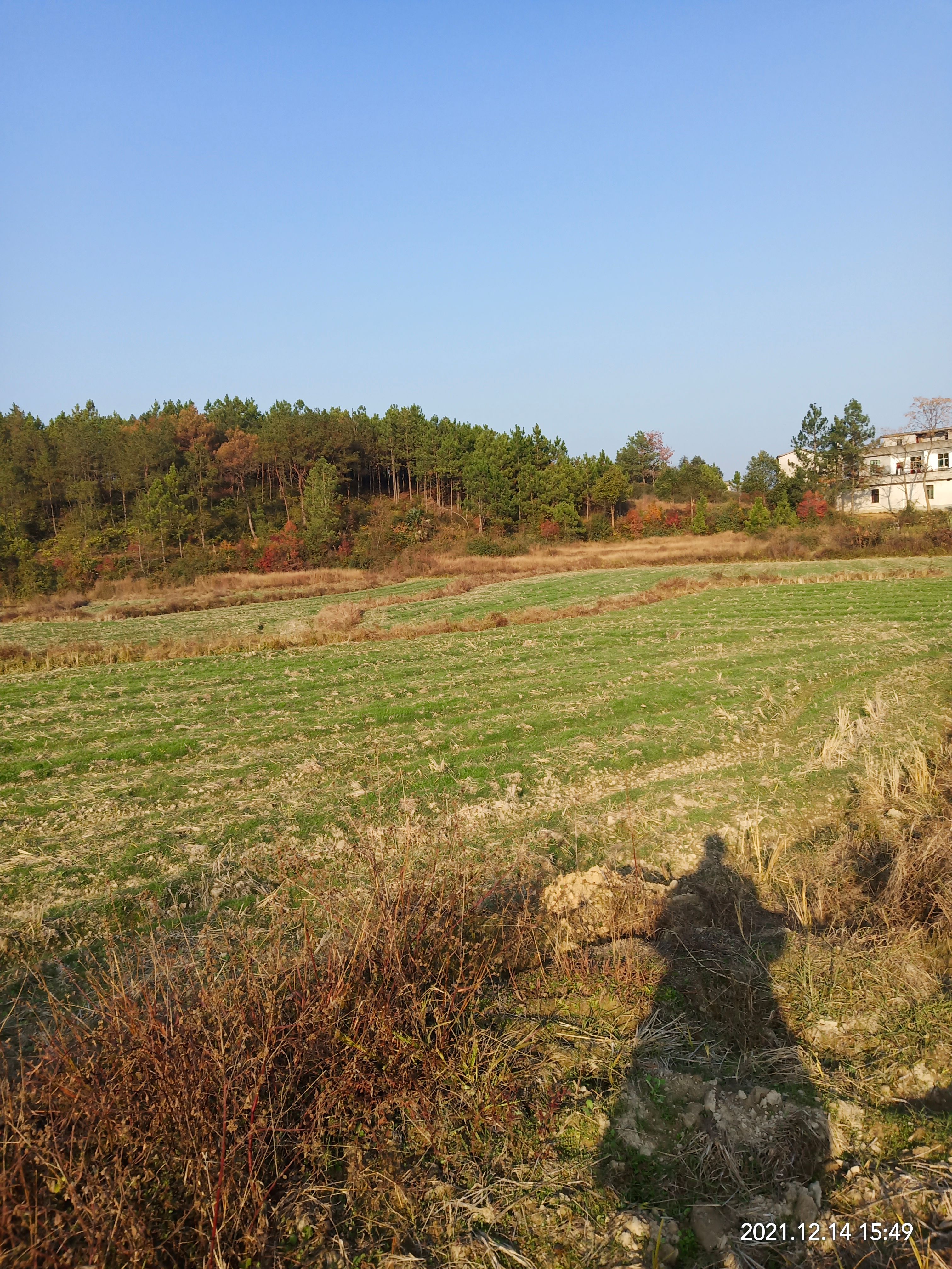 旱地，旱田，水田出租，适合种植经济作物，也可以种植一季水稻