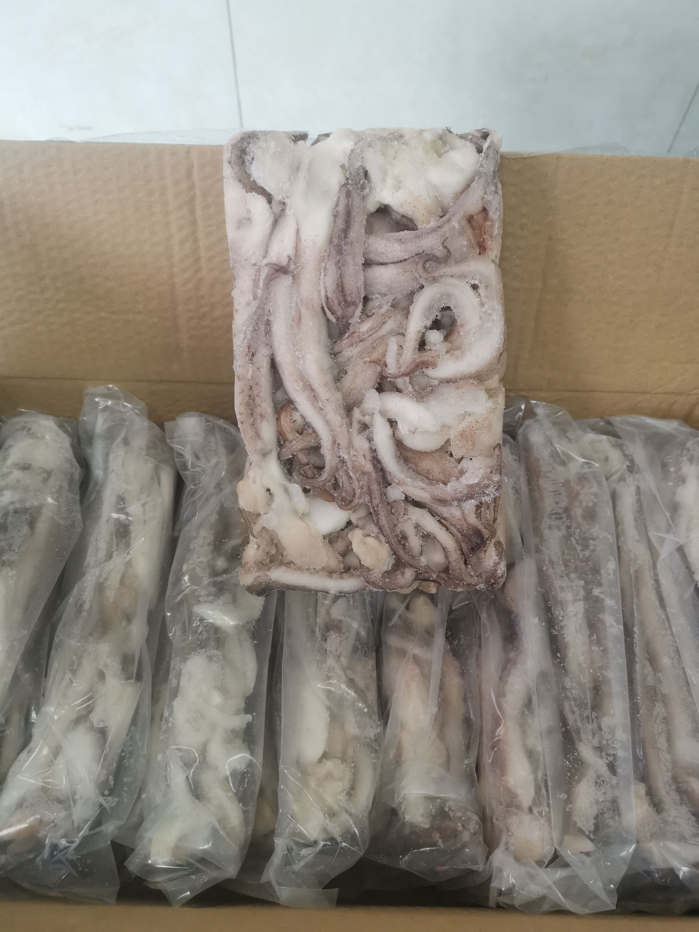 纯干鱿鱼须大板，十板