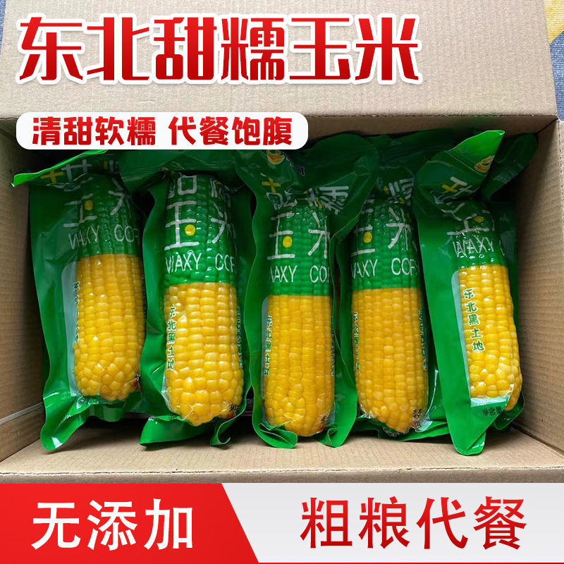 临沂东北糯玉米【一箱疯狂热销中】鲜玉米甜玉米空包装粘玉米一箱批发
