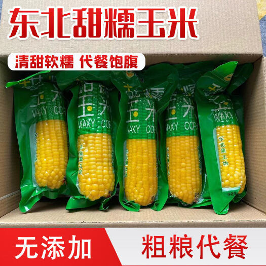 东北糯玉米【一箱疯狂热销中】鲜玉米甜玉米空包装粘玉米一箱批发