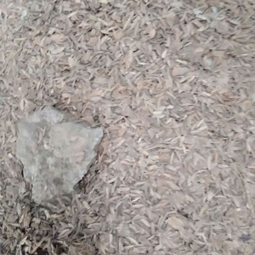 单县鸭粪 撒施 新鲜