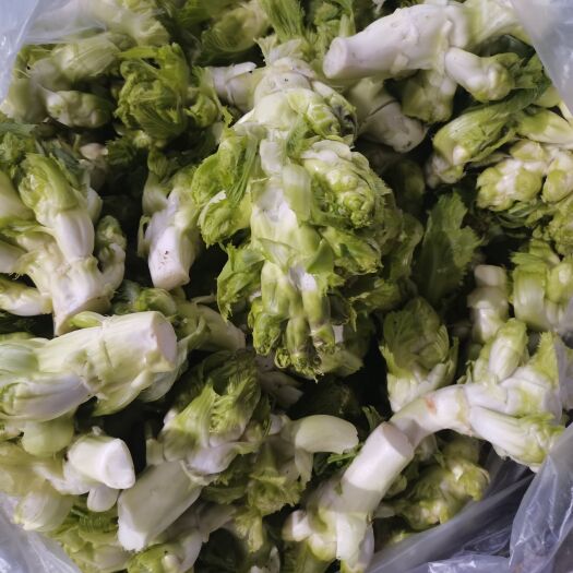 兴义市儿菜，芽芽菜，净菜