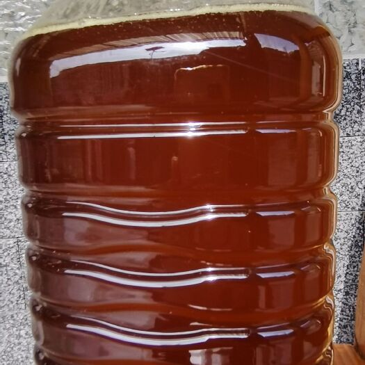大冶市山茶油 茶籽油