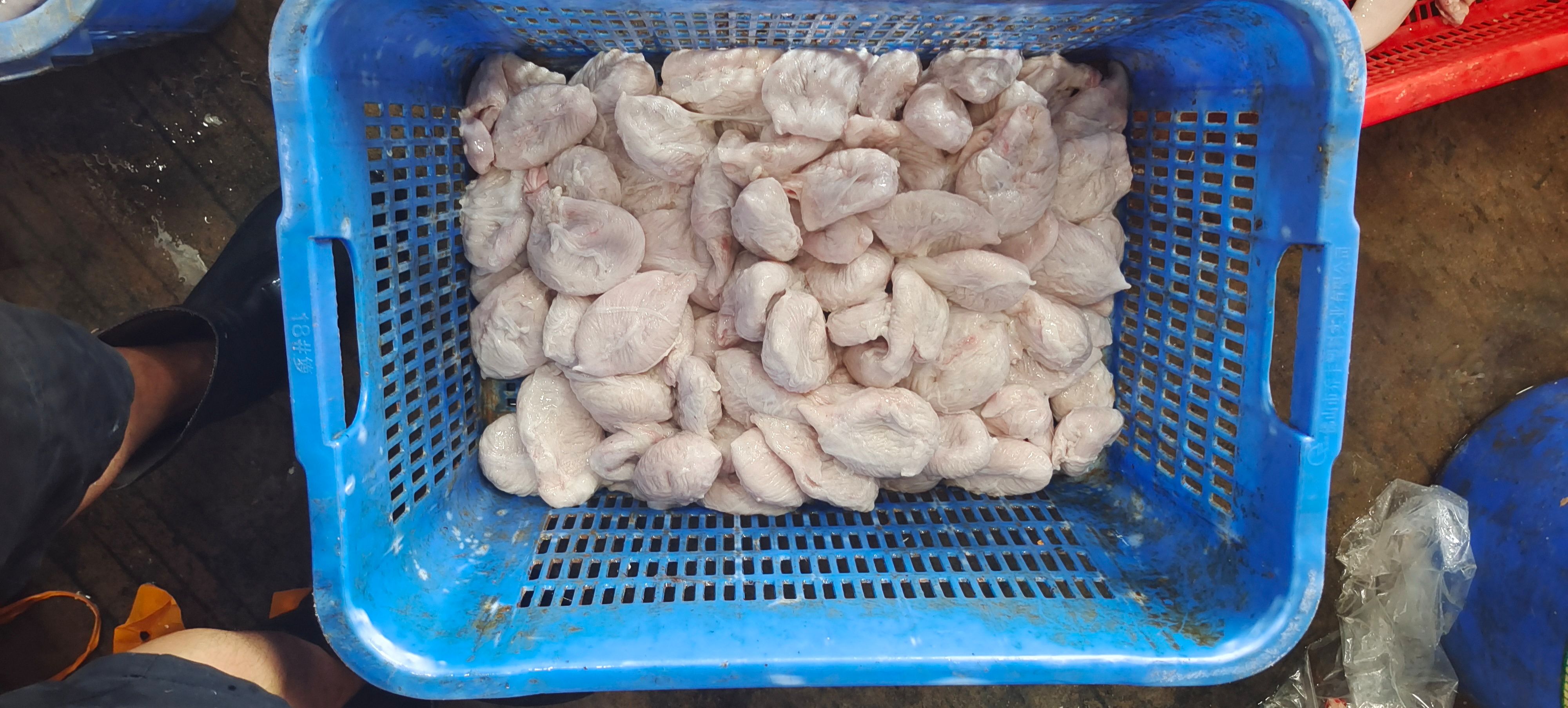 鲜小肚（尿泡）