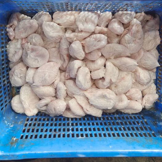鲜小肚（尿泡）