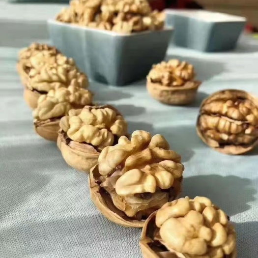 阿克苏市 阿克苏185纸皮核桃