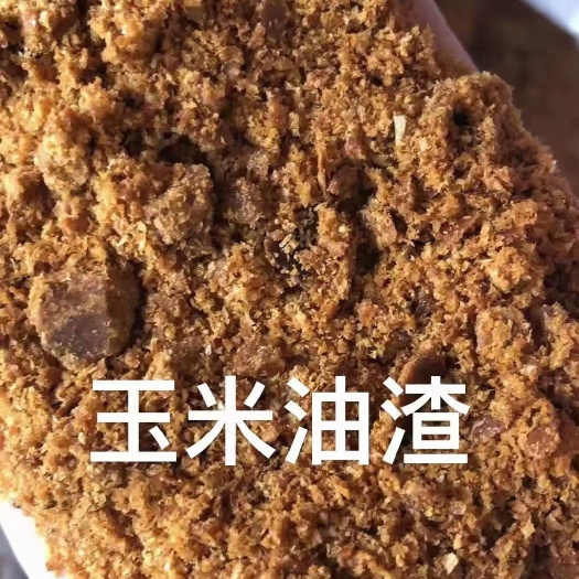 正定县 玉米油渣