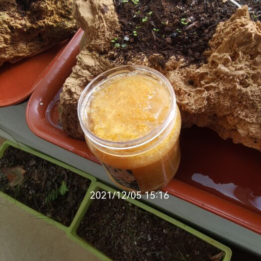 昆明土蜂蜜 上等货，全结晶，接受任何检测，可做药引子使用的蜂蜜。