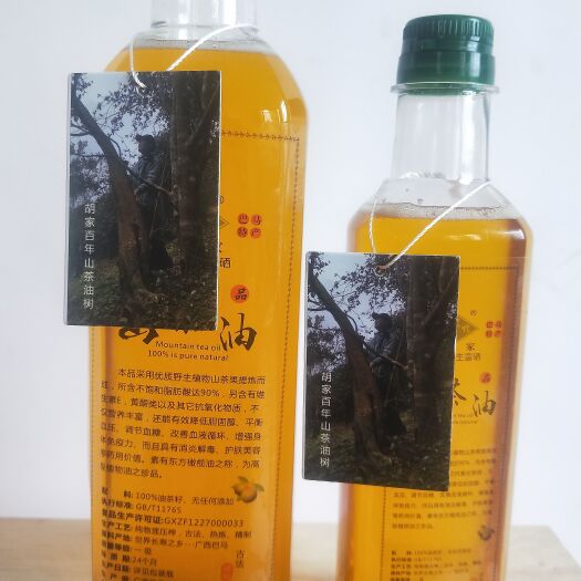 巴马县山茶油 上百年的老茶树
