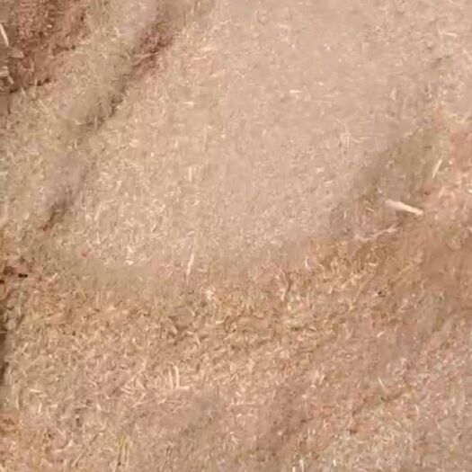 利辛县小麦秸秆下脚料，有机肥干辅料