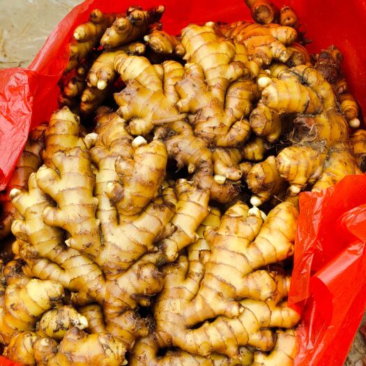 汝城县湖南汝城窖姜 小黄姜 种植地直销，全国可发货
