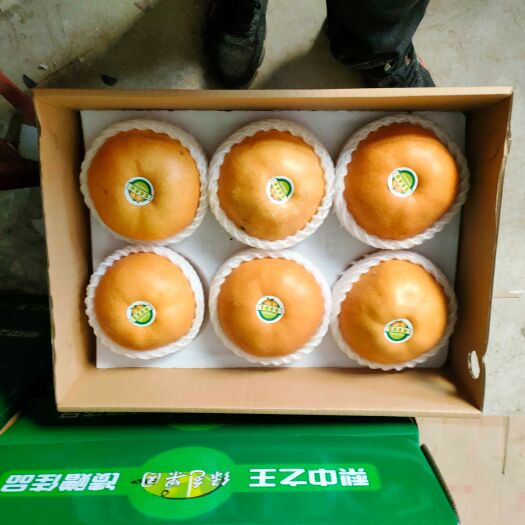南乐县 晚秋黄梨
