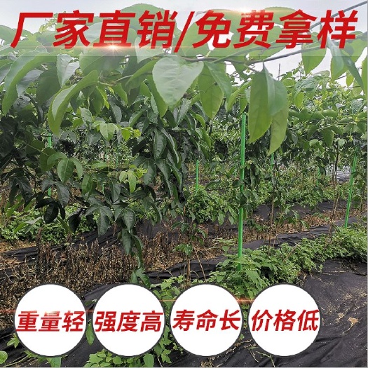 东莞市玻璃纤维管百香果火龙果八月瓜瓜蒌支撑杆立柱豆角冬瓜爬藤架子