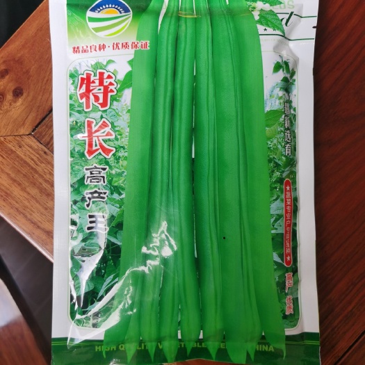 通海县四季豆种子云南白花四季豆种子基地专用