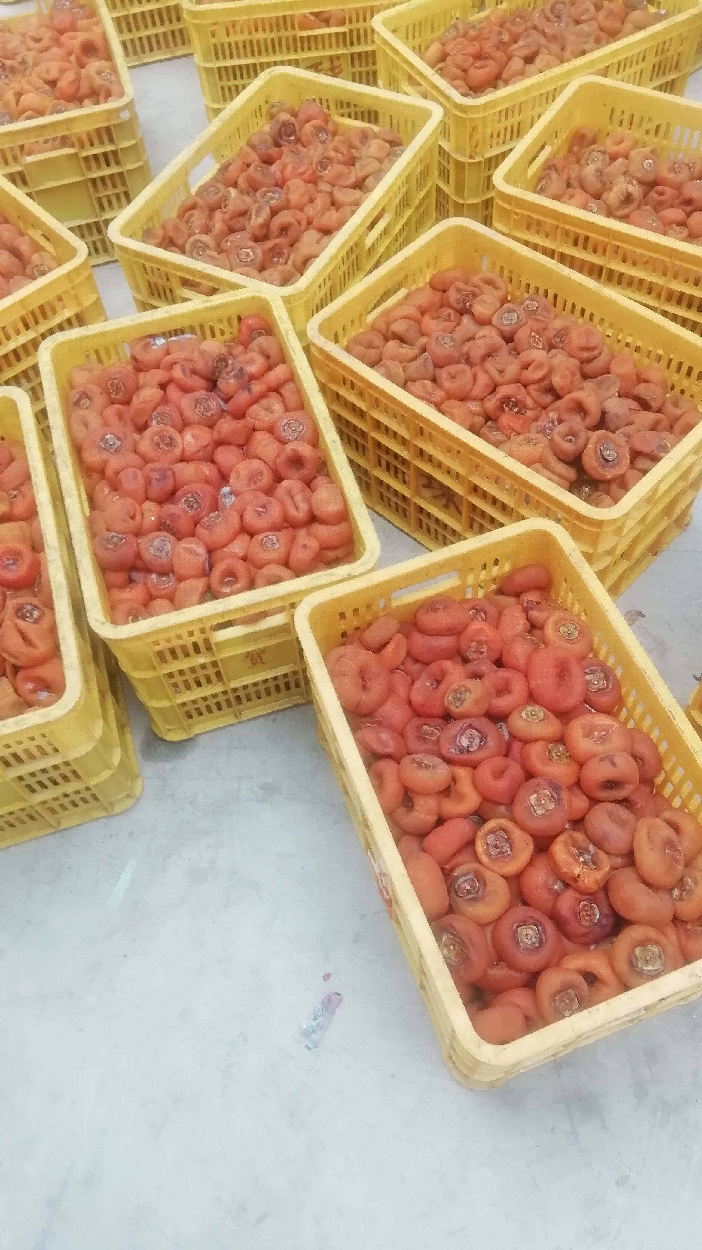 桂林柿饼小柿饼圆饼