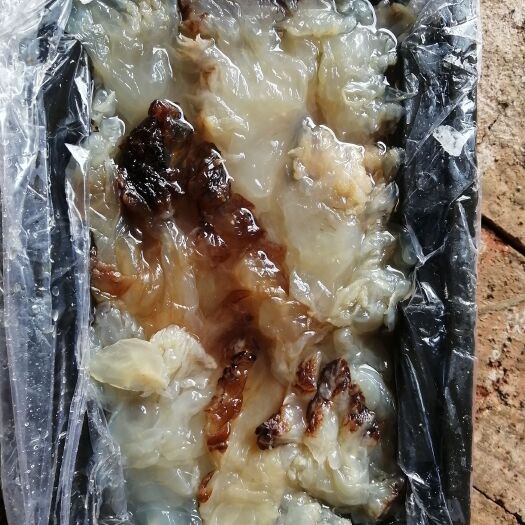 滨州海蜇头