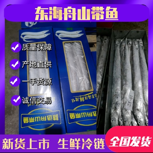 宁波【大厂直发】东海舟山带鱼,货真价实,工厂直销,先到先得