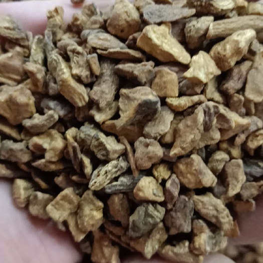 安國市中藥材菊苣根茶