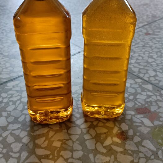 富川县今年新鲜的黑芝麻油，有二十多斤