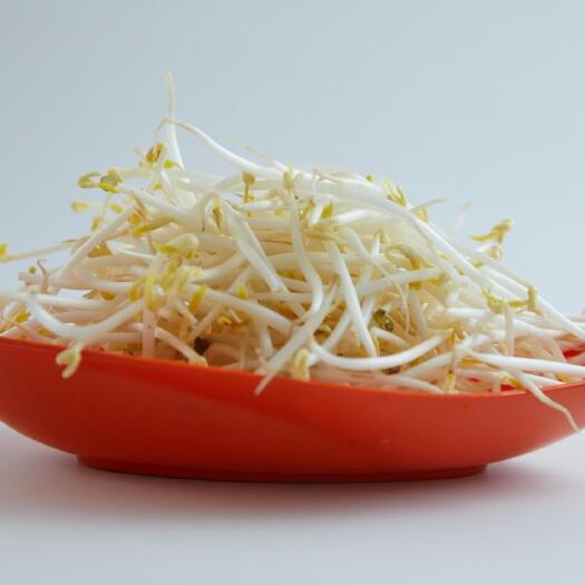 廊坊绿豆芽，黄豆芽各种豆芽，要货随时联系