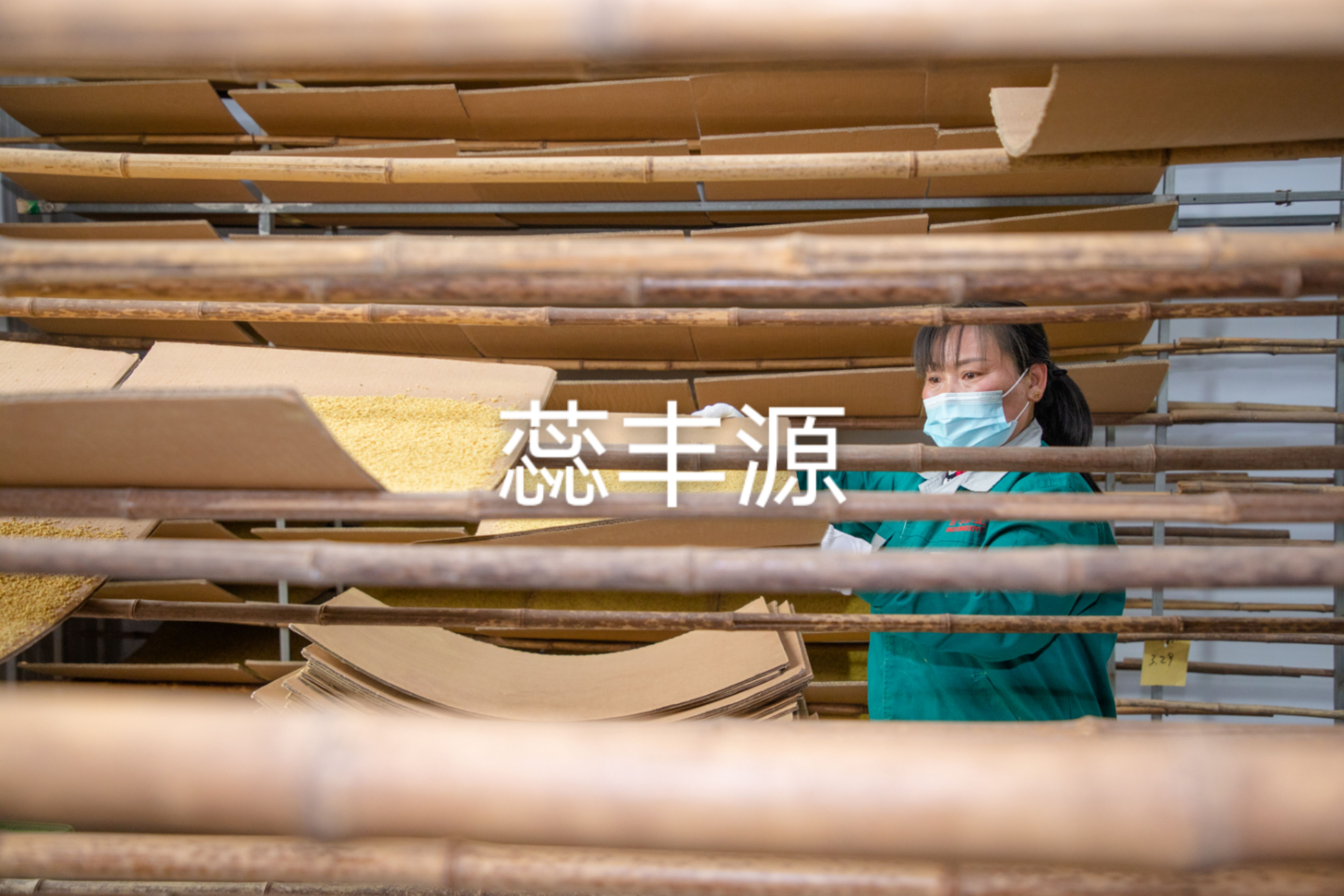厂家长期供应蕊丰源授粉用杏花粉高产量高纯度高活性好品质