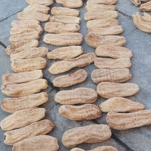 亳州乌天麻 天麻个片子