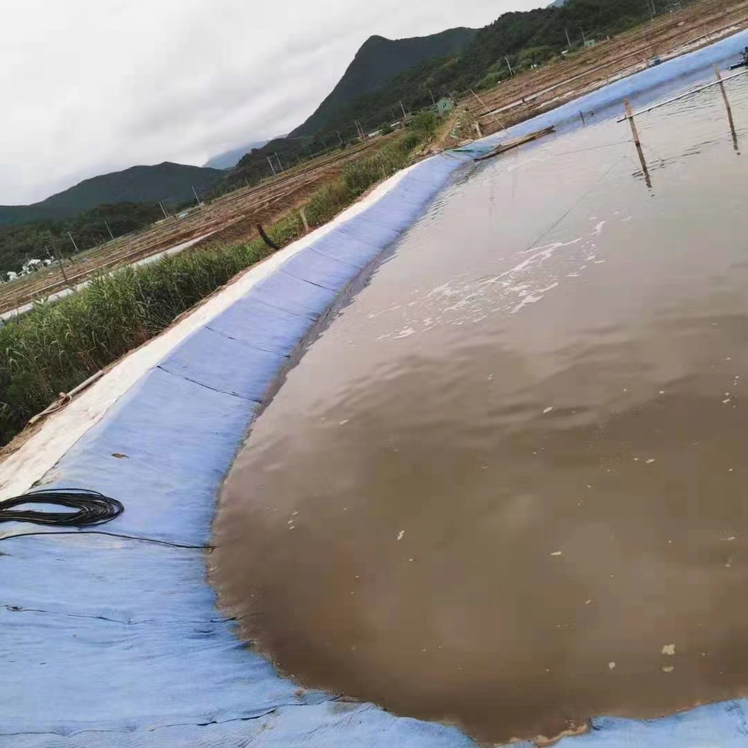  鱼池  采用水泥毯做护坡
