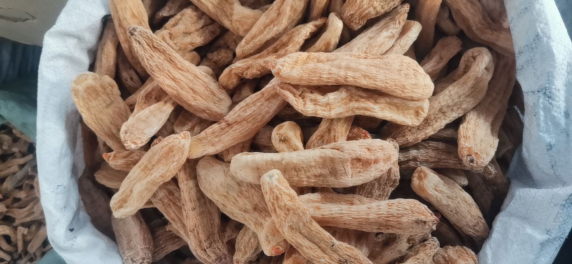 乌天麻 天麻个片子