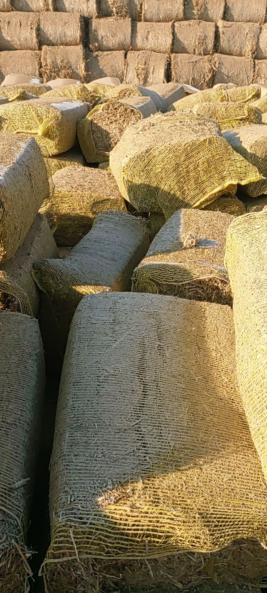  玉米秸秆二次柔丝加工干草