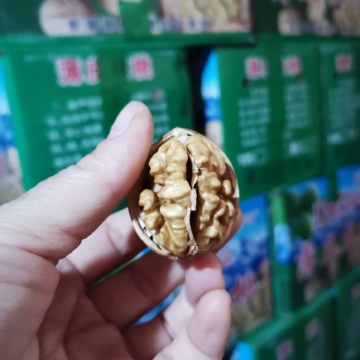 湘潭阿克苏温185纸皮核桃