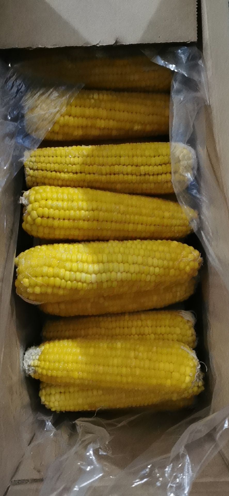 糯玉米 依然香食品加工厂基地种植非转基因食品，营养又健康