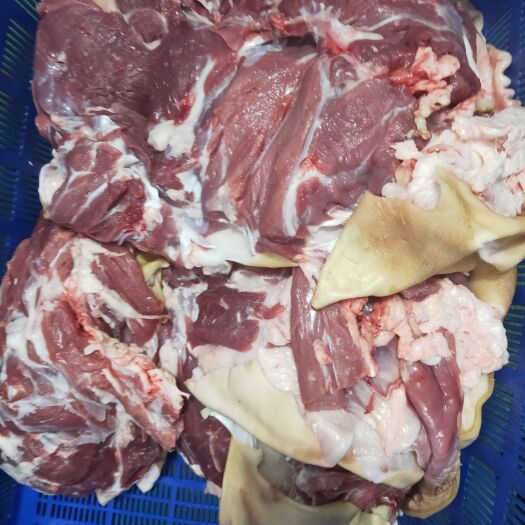 定州市羊肉类 火烧带皮羊肉！手续齐全